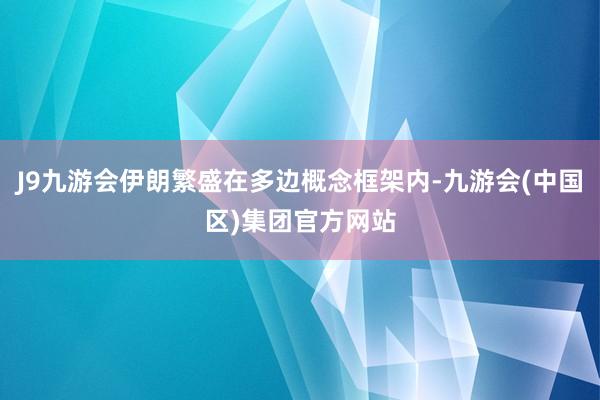 J9九游会伊朗繁盛在多边概念框架内-九游会(中国区)集团官方网站