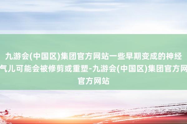 九游会(中国区)集团官方网站一些早期变成的神经连气儿可能会被修剪或重塑-九游会(中国区)集团官方网站