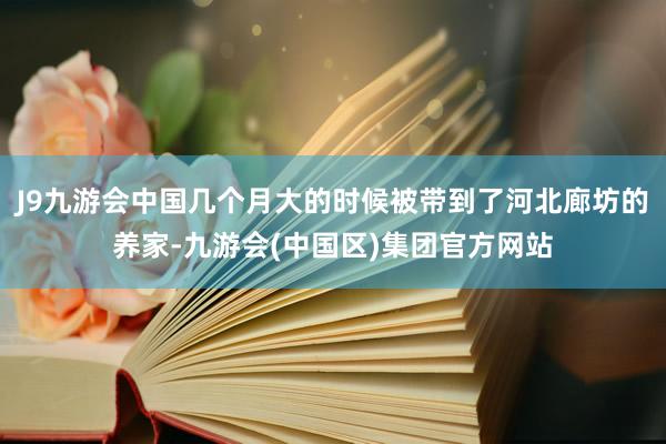 J9九游会中国几个月大的时候被带到了河北廊坊的养家-九游会(中国区)集团官方网站