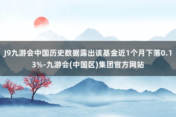 J9九游会中国历史数据露出该基金近1个月下落0.13%-九游会(中国区)集团官方网站